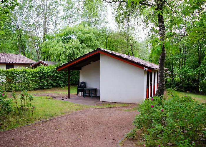 Grafschaft Bentheim Vakantiepark Uelsen